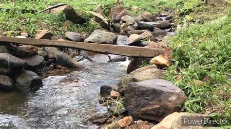 Muat turun aplikasi moovit untuk carian jadual waktu terkini dan panduan arah langkah demi langkai untuk laluan bas, mrt & lrt atau monorel yang melalui ampang. Kebun Makcik di Sungai Gemi,Hulu Langat - YouTube