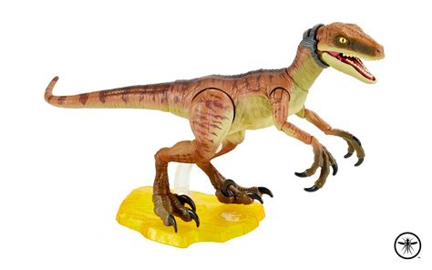 Velociraptor Echo Jurassic Report