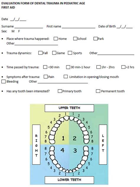 Evaluation Form Of Dental Trauma Download Scientific Diagram