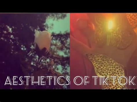 Aesthetic TikTok complication - YouTube