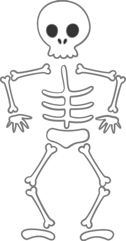 Skeleton Craft Skeleton Body Skeleton Drawings Cute Skeleton