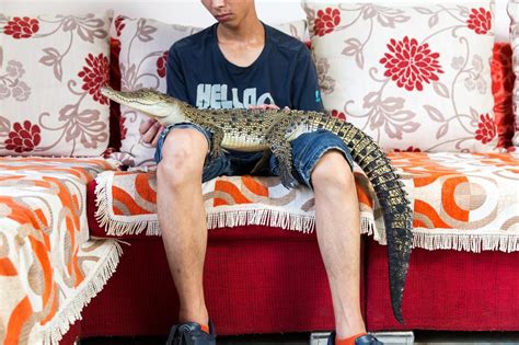 Young Collectors Traders Help Fuel A Boom In Ultra Exotic Pets