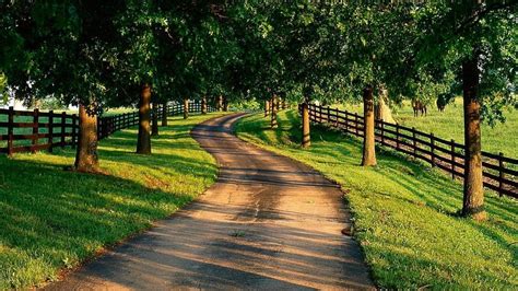 Country Road Through Horse Farms Farms Road Trees Horses Hd