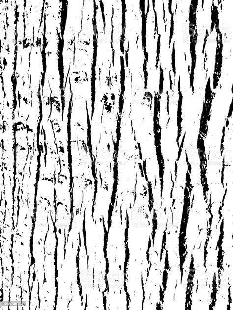 Tree Bark Texture Wooden Background For Graphic Design