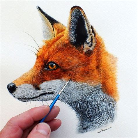 Red Fox Original Watercolour Painting Realistic Wildlife