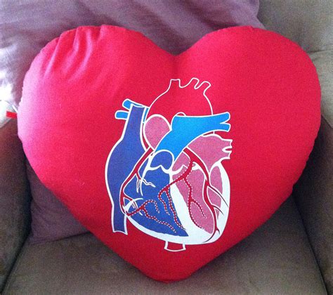 During this time you likely will feel tired easily, and you may have some pain and soreness brachial plexus injury after heart surgery is rare, but can be seen in a couple of different forms. The Night I Followed the Blog: The Head and the Heart: A ...