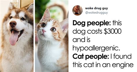 A Dog Person Or A Cat Person