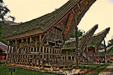 Traditional House of South Sulawesi - The Fact Of Indonesia