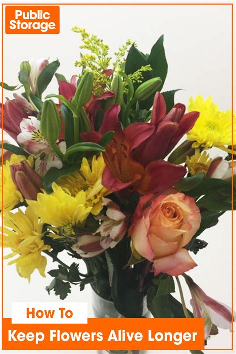 Maybe you would like to learn more about one of these? How to Keep Flowers Alive Longer Three Pro Tips in 2021 ...