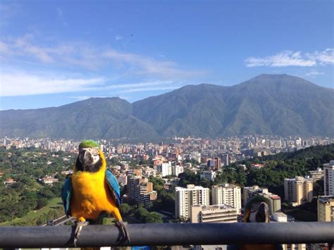 Explore Venezuela The Land Of Grace Venezuela Travel Information