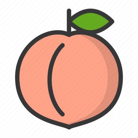 Fruits Peach Food Fruit Healthy Icon Download On Iconfinder