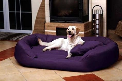 5 Best Large Dog Beds For Big Breeds Top Recommendations And Guide