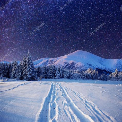 Starry Sky In Winter Snowy Night — Stock Photo © Myronstandret 58384543