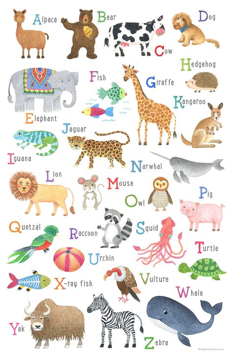 Animal Alphabet Illustrated Poster Educational Nursery Art Etsy Ireland