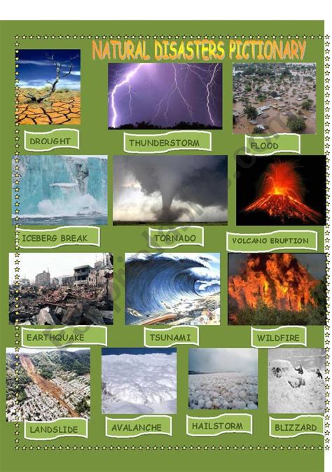 NATURAL DISASTER PICTIONARY ESL Worksheet By Degulasepa