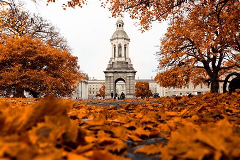 8 Most Beautiful Things To See In Dublin This Fall