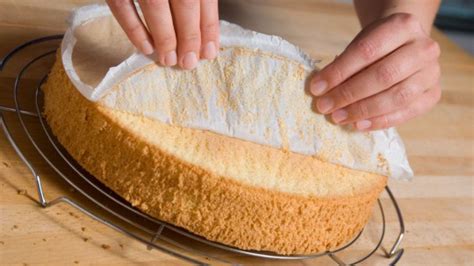 We did not find results for: Grundrezept Biskuitteig | Rezept in 2020 | Rezepte ...