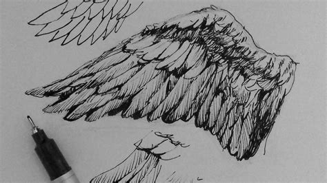 Free Angel Wings Drawing Download Free Angel Wings Drawing Png Images