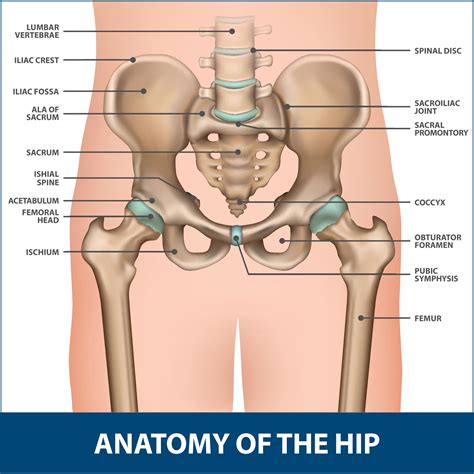 total hip replacement anterior approach florida orthopaedic institute