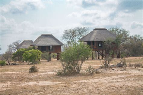 It's carrying capacity is 4395 teu and her current draught is reported to. Ressenya d'Nthambo tree camp: casa als arbres al parc ...