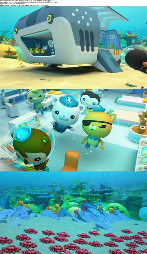 Octonauts And The Great Barrier Reef 2020 Filmxy