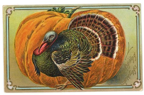 Thanksgiving Greetings Vintage Victorian Postcard Pumpkin Turkey
