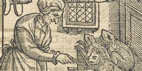 Maybe you would like to learn more about one of these? The Witch and the Toad | The Witch and the Toad