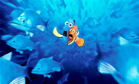 Top 999 Finding Nemo Wallpaper Full Hd 4k Free To Use