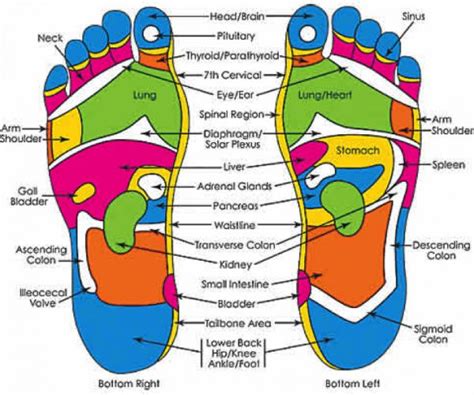 Foot Massage Reflexology Pamper Your Feet With A Ripple Massage