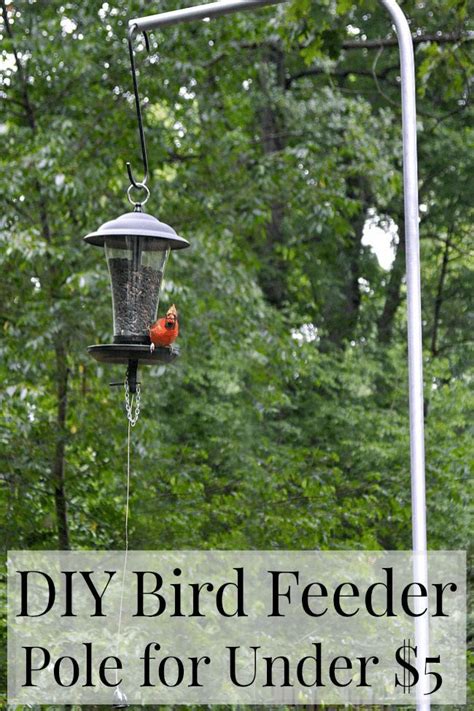 We used black pipes normally used for natural gas and/or plumbing systems. DIY Bird Feeder Pole for Under $5 | Bird feeder poles, Diy ...