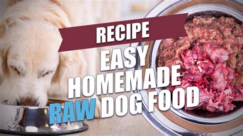 Taurine deficiency can cause heart disease. Easy Homemade Raw Dog Food Recipe (Fast and Healthy ...