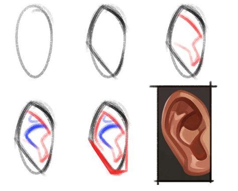 Ear Reference Via Ninamodaffari On Twitter Drawings Art Tutorials