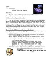 Meiosis and mitosis answers worksheet. Microevolution Gizmo 2016-1 - James Name Date Student ...