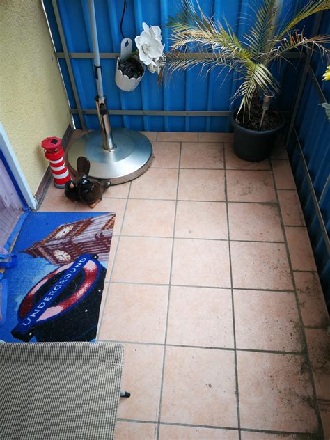 Suche eine 2 zimmer wohnung in der mainzer innenstadt. 64546 Mörfelden-Walldorf! Gemütliche 2 Zi. Whg. mit Balkon ...