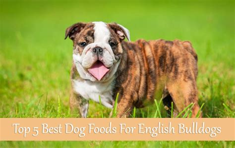 It has a human grade recipe and ingredients that a human food facility processed. Top 5 Best Dog Foods For English Bulldogs Buyer's Guide 2017