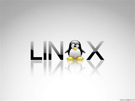 Linux Logo Wallpapers Top Free Linux Logo Backgrounds Wallpaperaccess