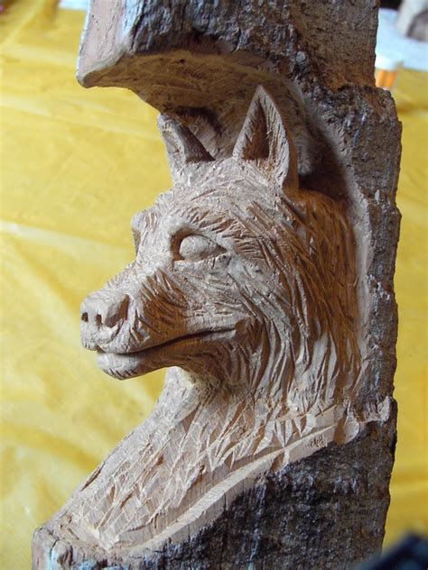 Wolf Head Carved In Cottonwood Bark By Druid