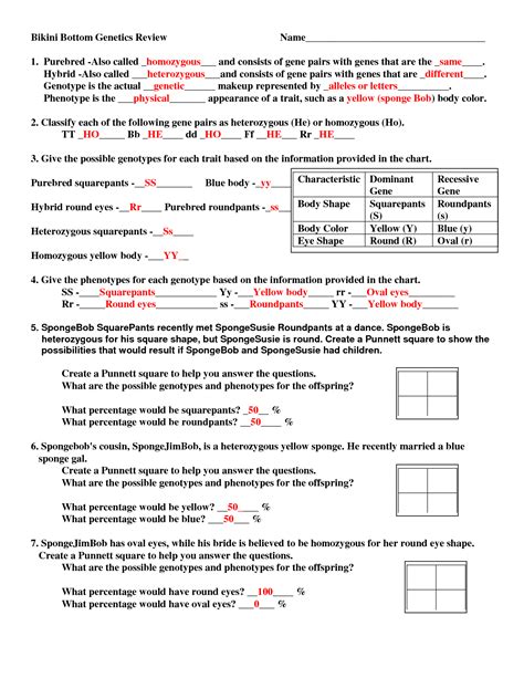 Punnett square practice problems worksheet