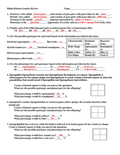 Punnett Square Practice Worksheets Answers Biology