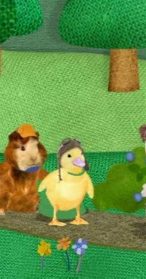 Wonder Pets Save Little Red Riding Hoodsave The Turtle 2007