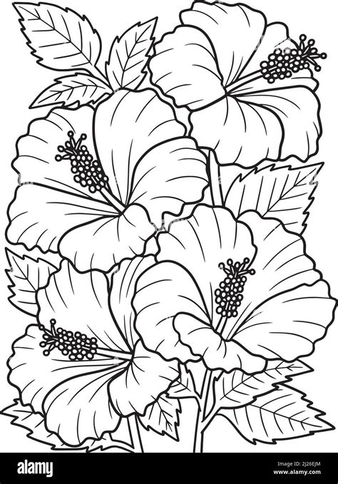 Ultimate Collection Of Over 999 Flower Images For Coloring Stunning