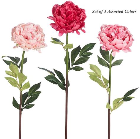 Real Touch Peony Stem 25 Inch Set Of 3 Assorted Colors