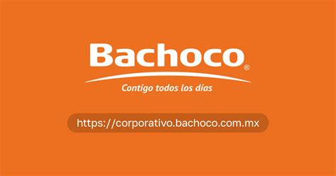 Bachoco Corporate All Information About Bachoco Company
