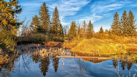 Lake Forest Trees Autumn Hd Widescreen Wallpaper Preview