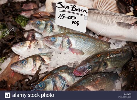 Fresh Sea Bass For Sale On A Fish Market Stall At Borough Market