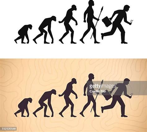 Evolution Stages From Ape To Human Photos And Premium High Res Pictures