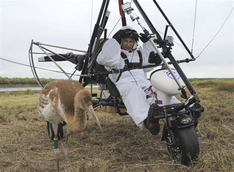 Whatever the figure is, putin himself certainly isn't saying. Putin the Crane Driver: The Many Macho Stunts of the ...