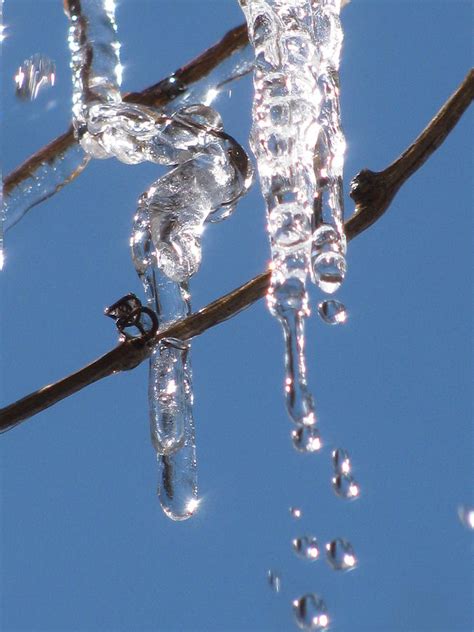 Melting Icicle Photograph By Alfred Ng