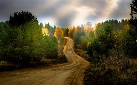 Dirt Road In The Country
