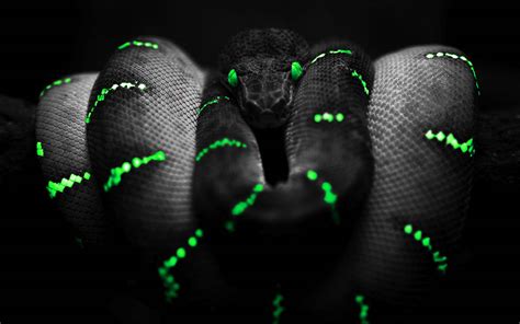 15+ Gambar Wallpaper Gelap Keren - Richi Wallpaper